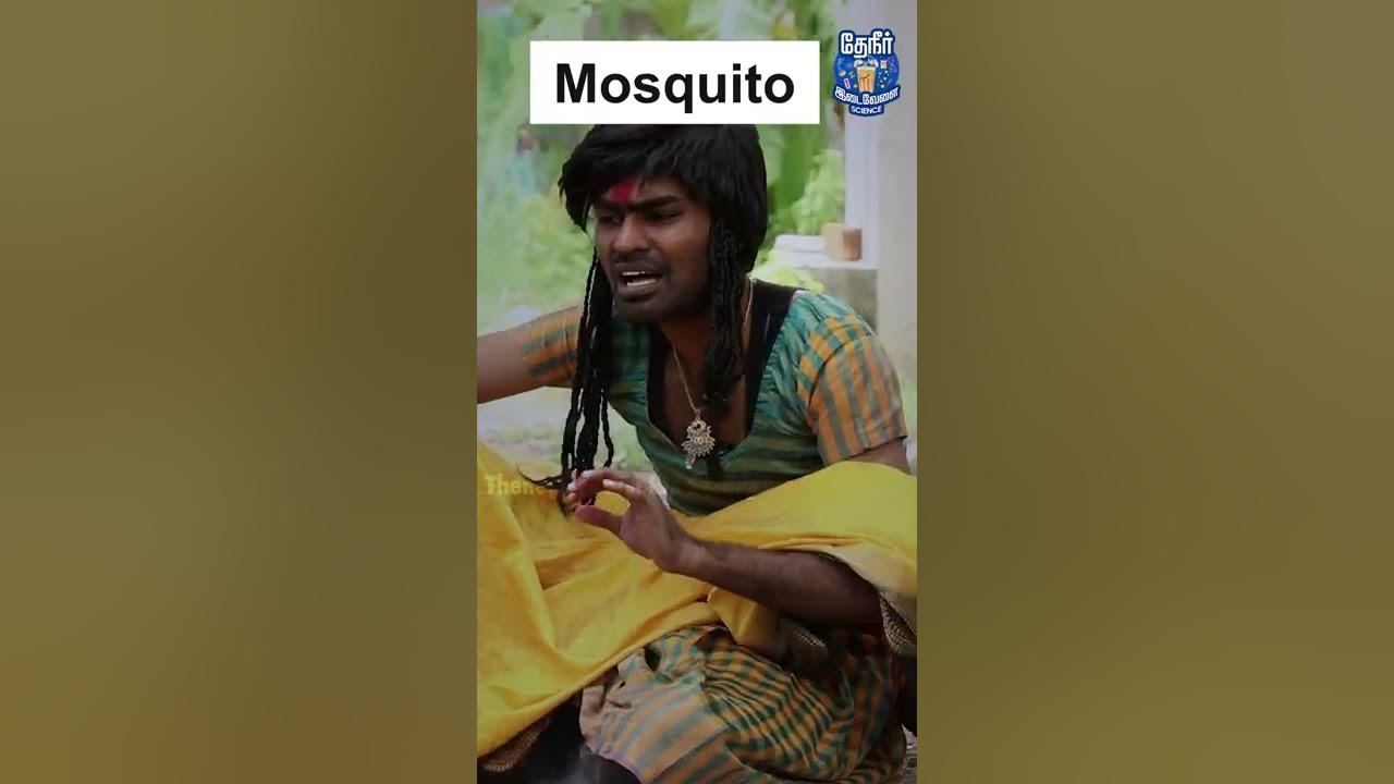 Why Do Mosquitoes Bite More At Night