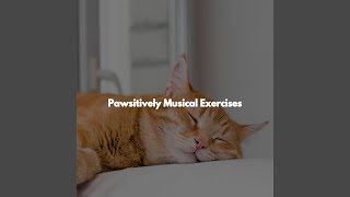 Sumptuous Jazz Trio - Vibe for Quiet Offices