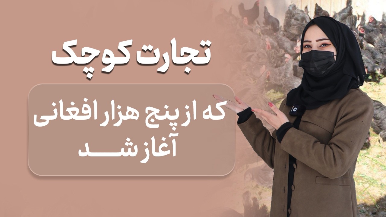 با پول کم میلیونر شوید | گزارش ویژه از فارم مرغداری