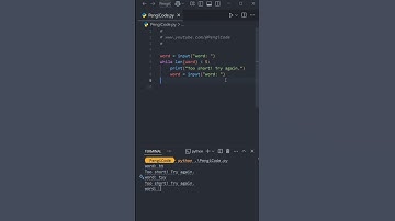 This Simple Python Trick Will Save You Hours of Code! #shorts #coding #python #vscode #tips #tricks