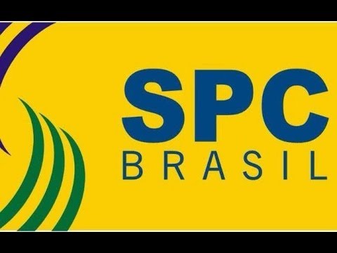 Serviços de proteção ao crédito (SPC) apresenta balanço de 2019