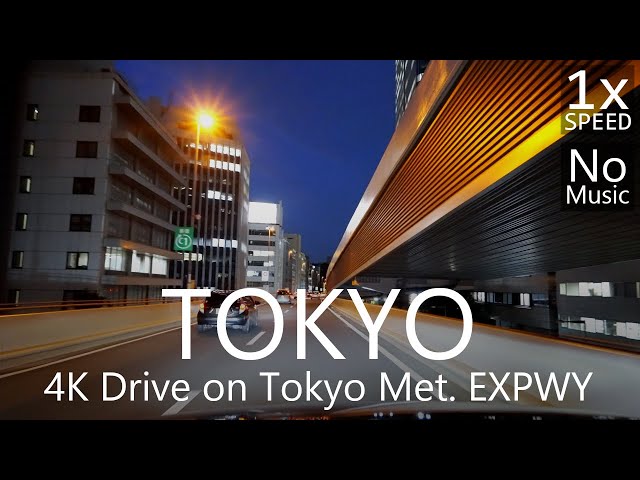 4K Tokyo Met. EXPWY Night Drive C2 - Bayshore - C1(Outer LP