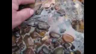 3-15-2013 Creek Hunting With Hardcoreflint