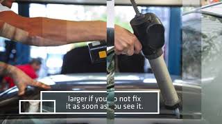 Windshield Replacement Cost