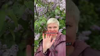 Жизнь как триллер