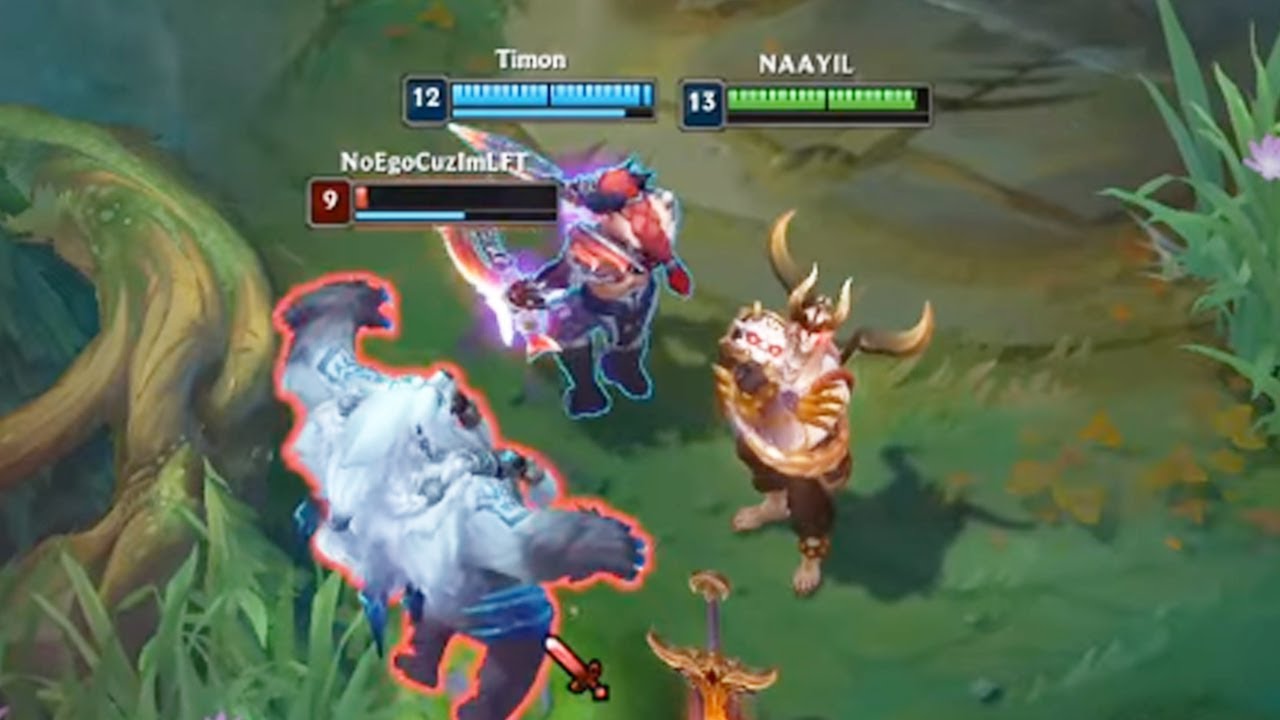 Animal Cruelty YouTube