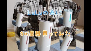 138：ＬｕＬｕ用に加湿器買ってみた★