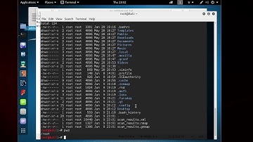 31   How to Save Nmap Results