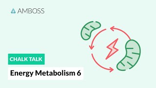 Energy Metabolism - Part 6: The Citric Acid Cycle with molecular structures