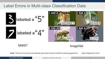 CSE 234 Winter 2023 Industry Guest Lecture: Jonas Mueller (CleanLab)