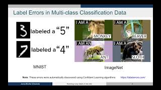 Celebrity CSE 234 Winter 2023 Industry Guest Lecture: Jonas Mueller (CleanLab) Profile