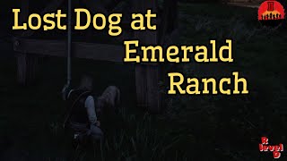 Lost Dog at Emerald Ranch. #RDR2 #Story #PS5