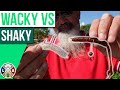 Wacky et shaky 2 techniques pour les poissons difficiles 