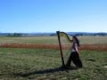 Grassy Fields Kathryn Cater, Harp Solo, Oregon's Willamette Valley