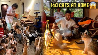 She Lives with 140+ Cats & Dogs in Goa