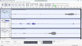 Thx Jungle Sounds Audio Demonstration Right Channel