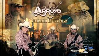 Video thumbnail of "Los Del Arroyo "Recargado en una Palma" (En Vivo)"
