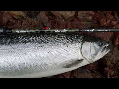 KastKing Krome Rods for STEELHEAD & SALMON FISHING 