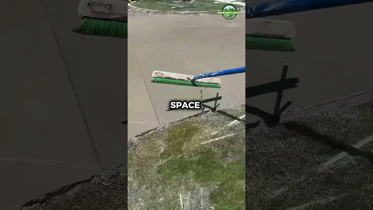 STYLE THAT LASTS 🌿