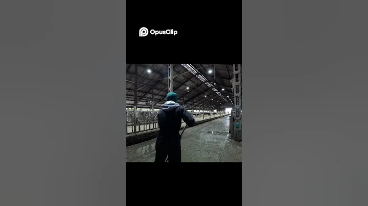 dairy farm life Manure cleaning  #dairyherd #farming #motivation #cow #farminglife#career