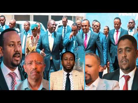 Oduu Amee Obbo Jawaar Fi Eskela Wajain Turtii Adda Tasifnee