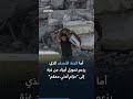 المرحلة الثانية من خطة ترمب تبدأ بخرق إسرائيلي أسفر عن استشهاد 11 مدنيا 