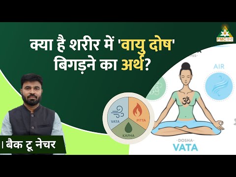 What Does 'वायु दोष' Mean for Your Health? | Back to Nature | PMC Hindi #health #healthtips