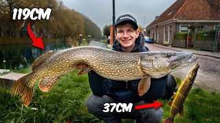 Vissen Met Groot Kunstaas Op Snoek Nieuw Pr