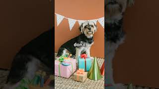 Do dogs remember birthdays?
