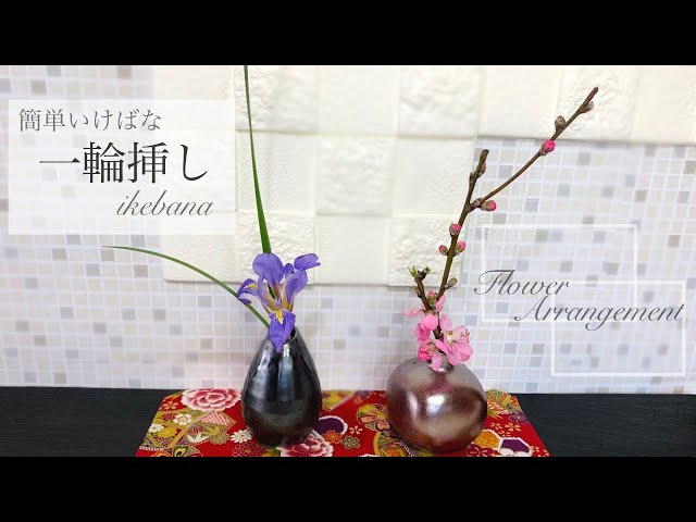 長野大輔　一輪挿し　いけばな 簡単生け花「一輪挿し」に小さな【お雛様】をいけるikebana - YouTube