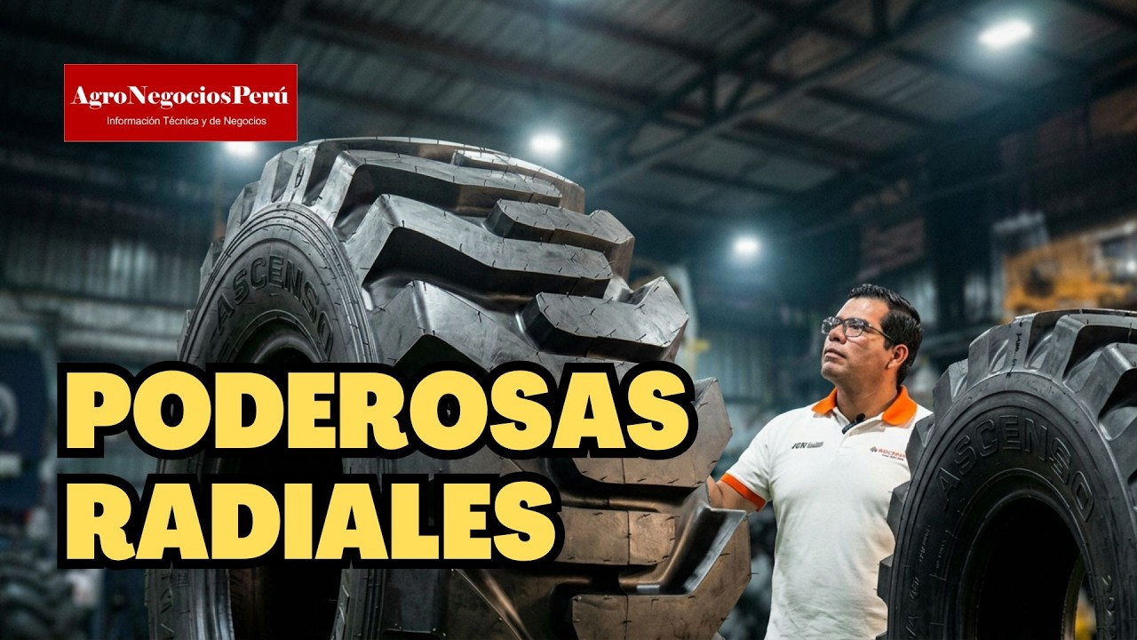 Neumáticos Pesados: Construcción e Industria | Ascenso Tires