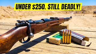 10 Cheap Surplus Rifles That Are Still a Great Buy in 2026
