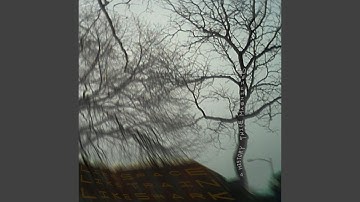 A History Twice Magnified (feat. Like Space Like Train Like Shark)