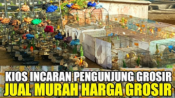 JUAL MURAH‼️KIOS INCARAN PENGUNJUNG GROSIR HARGA BURUNG DI PASAR PRAMUKA