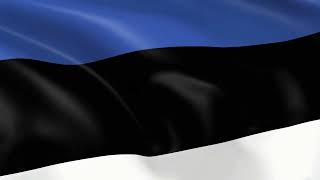 The Meaning of The Flag of Estonia