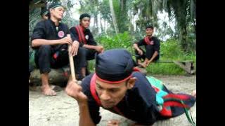 Silat Harimau Berantai Sang Penakluk - Senaman siku