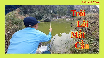 Câu Đài Miền Bắc | Câu Rô Phi Gặp Trôi Điên Lôi Mất Cần