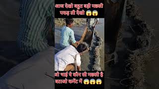 Aaj Dekho ketani badi machli pakd li #fishing #agrifuture #aquaculture #fishfarming #viral 😱😱