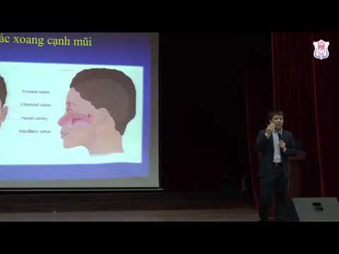 Video Giải phẫu và sinh lý mũi xoang - các hội chứng mũi... - youtube
