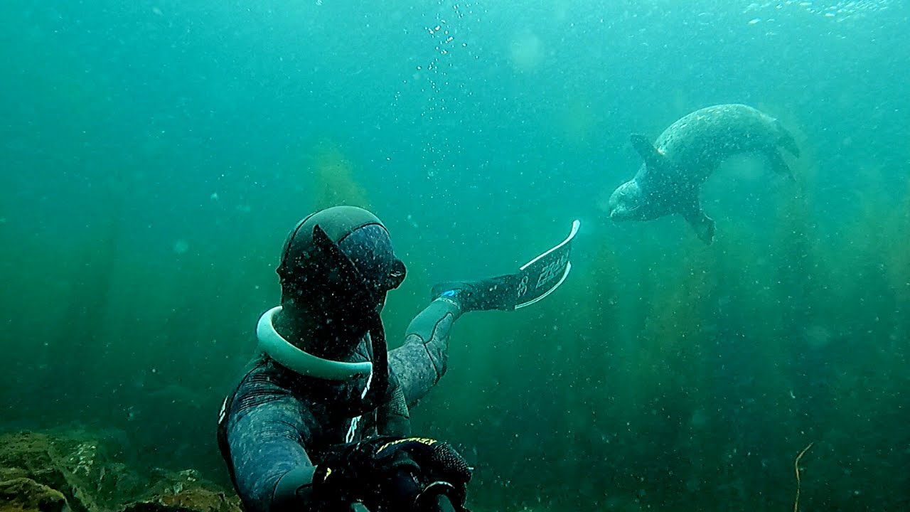 Limpet Catch & Cook | Freediving British Columbia