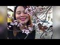 My first cherry blossom encounter! / Vlog/ Emmalyn Millena/ 2021/ Spring in Germany / watch til end!