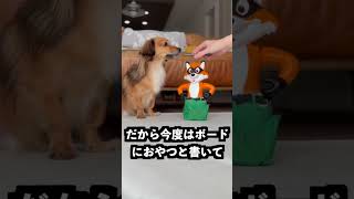 ズボンが書いたものに変わるキツネに一万円と書いて当てまくれば億万長者になれるはず！