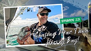 EP 22: CHASING Mac Tuna in the Sandy Straits of Hervey Bay