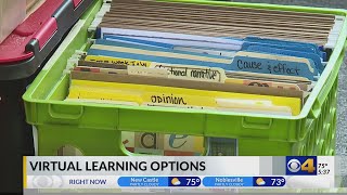 Virtual learning options