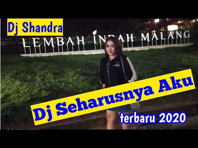 DJ SHANDRA SEHARUSNYA AKU BUKAN DIA TERBARU 2020 class=