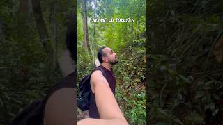 Enchanted Forests - Million Years Old 🌳#forests #forest #tropical #nature #hike