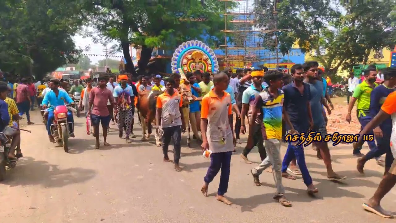 NTR Maharani Bull Mass Running Video ❣️