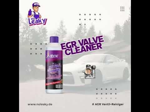 AGR Ventil-Reiniger – No Leaky