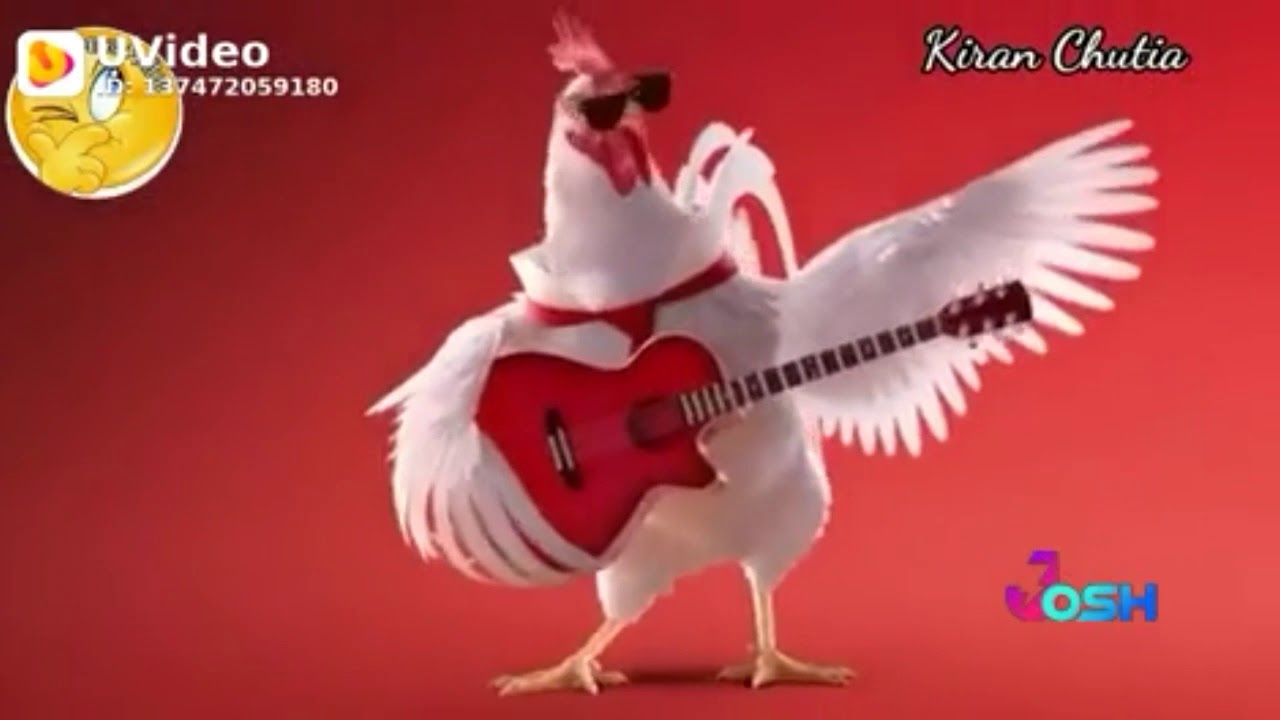 Crazy hen and - YouTube