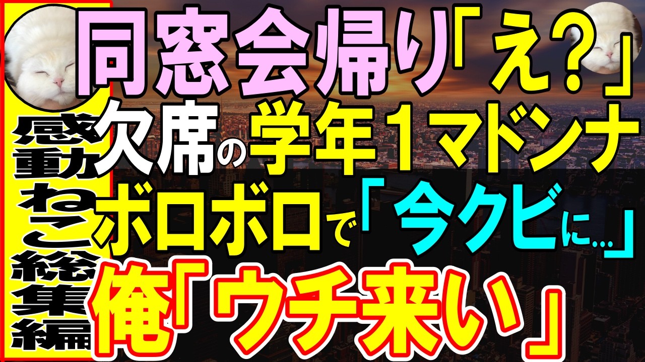 【感動する話】同窓会の帰り道、学年1の美人同級生がボロボロの姿で俺の前に現れた。同級生「社長から無能はクビって…」俺「うちの会社においでよ？」→採用したら意外な結果に…【いい話・泣ける話・朗読】